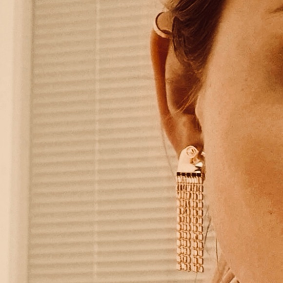 Eagle Plume~ Hawk Falcon Raptor Bird of Prey Chain Fringe Tassel Trim 22K Dangle - Picture 16 of 16